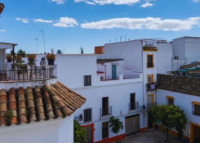 アパート Atico Luminoso San Basilio En El Centro Historico コルドバ